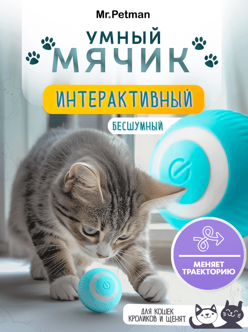Интерактивный умный мяч